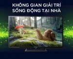  Internet Tivi Sony KDL-32R500C 32 inch