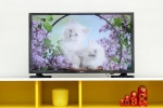 Tivi LED Samsung UA32J4003 32 inch